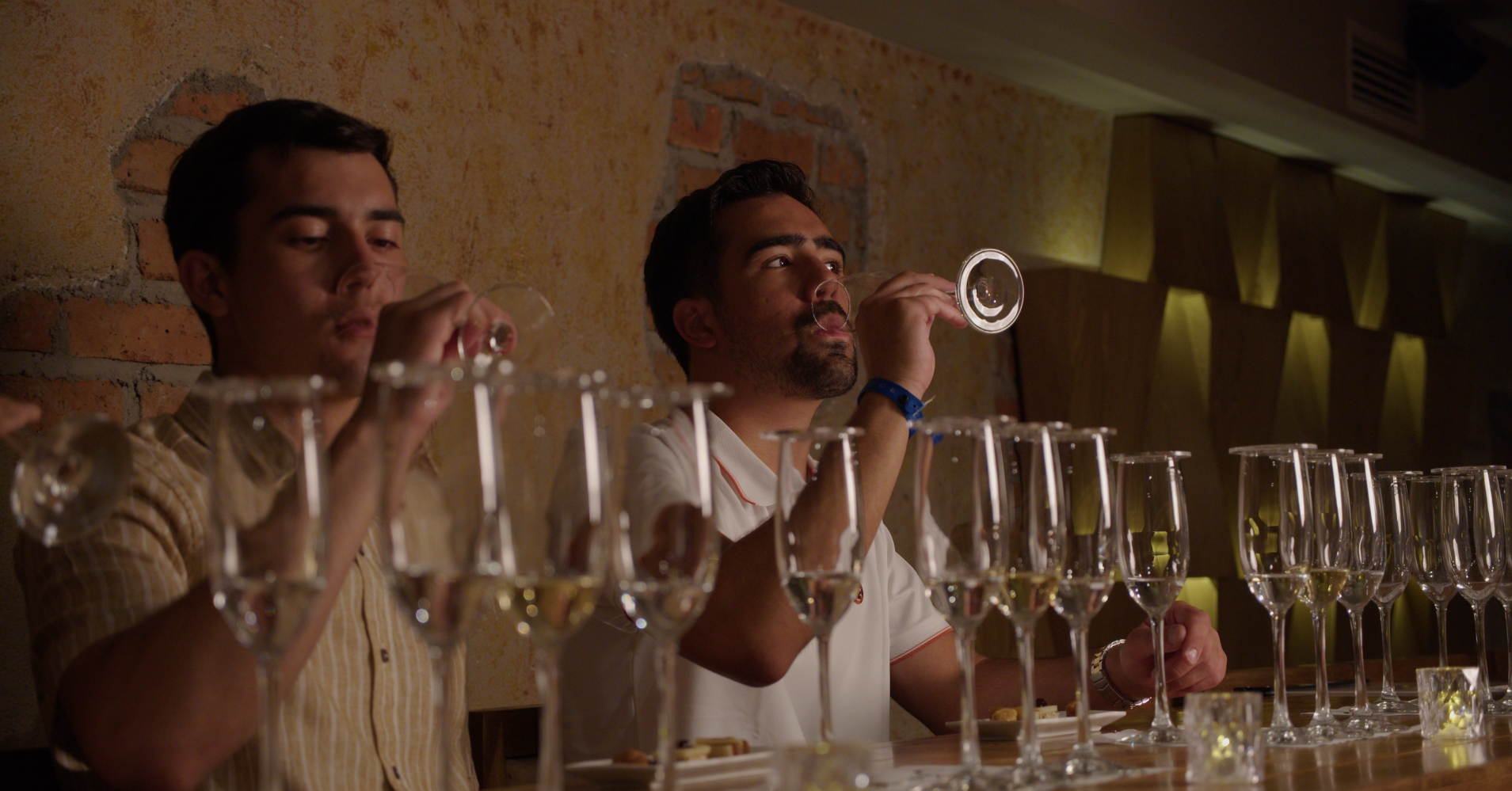 Viva Tequila Experience