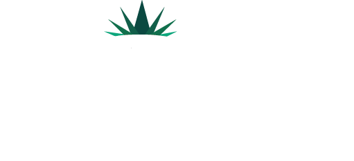 Viva Tequila Experience